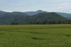 8871 14-6-19 view