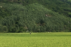 8872 14-6-19 view