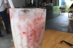 8885 15-6-19 milkshake