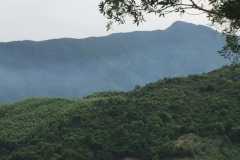 8888 15-6-19 view