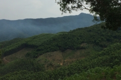 8889 15-6-19 view