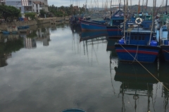8912 16-6-19 boats