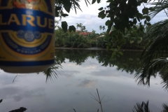 8934 17-6-19 beer