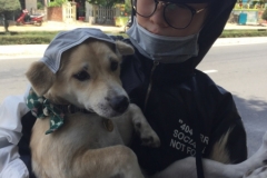 8945 18-6-19 puppy