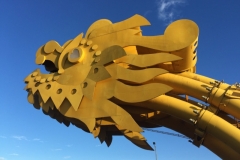 8950 18-6-19 dragon headt