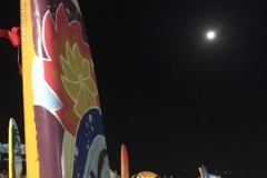 8970 18-6-19 surfboards