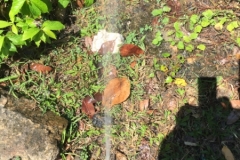 8987 19-6-19 sprung a leak