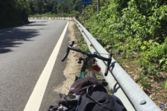 8988 19-6-19 road