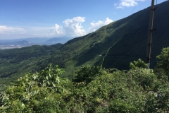 8991 19-6-19 view