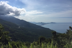 9004 19-6-19 view