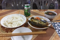 9016 19-6-19 meal