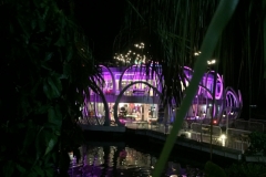 9053 20-6-19 purple