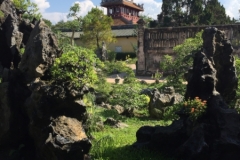 9084 21-6-19 garden