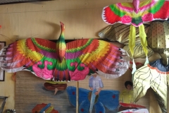 9085 21-6-19 kites