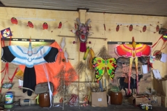 9086 21-6-19 kites