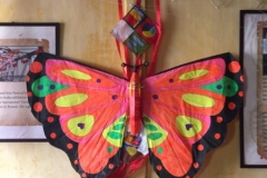 9087 21-6-19 kites