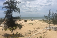 9148 25-6-19 beach