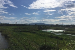 9164 26-6-19 view