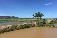 9199 29-6-19 water