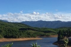 9202 29-6-19 view
