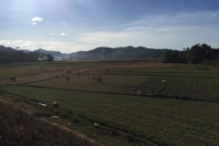9203 29-6-19 view