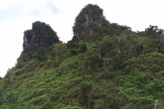 9224 1-7-19 cliffs