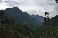 9231 1-7-19 misty mountains