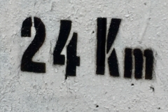 9253 3-7-19 milestone