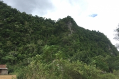 9262 4-7-19 view