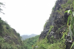 9292 4-7-19 view
