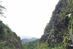 9293 4-7-19 view