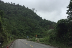 9294 4-7-19 view