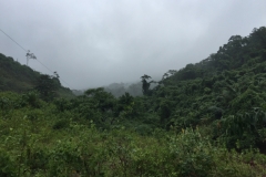 9295 4-7-19 view