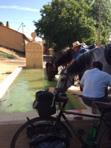 0426-6-9-16-17-horses-andaluz