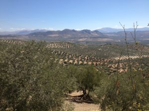 1391-scenery