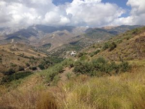 1474-scenery