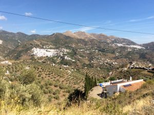 1541-scenery