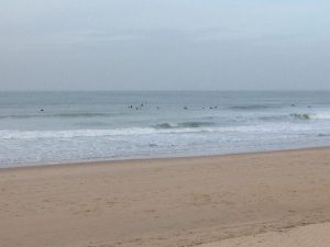 2210-26-10-el-palmar